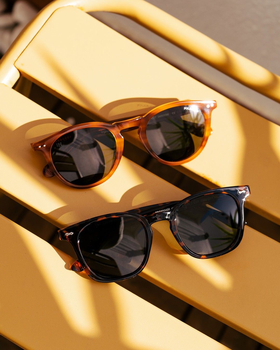 lunette_de_soleil_a_propos_V2.jpg